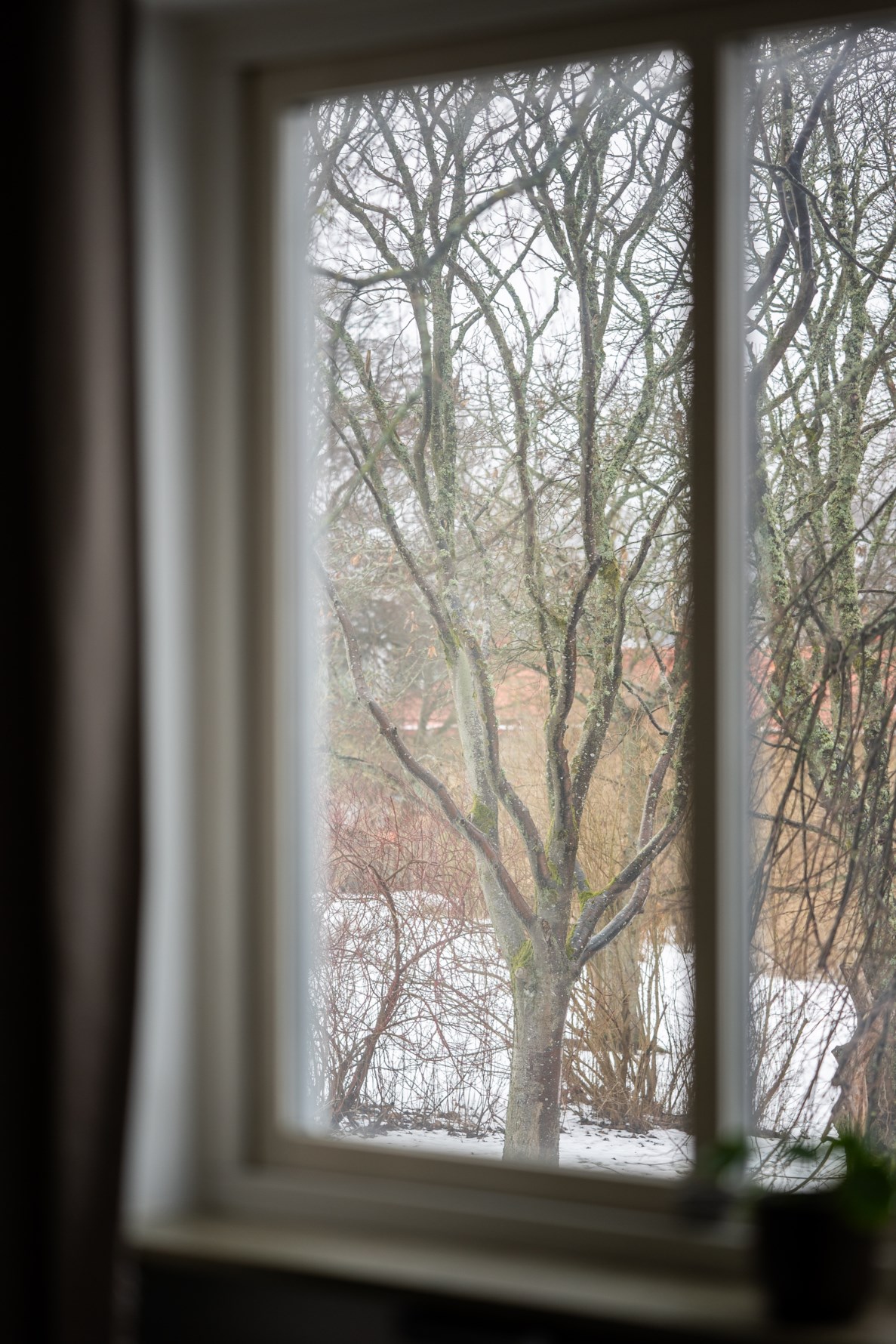 Bild 5 Falkenbergsgatan 11C