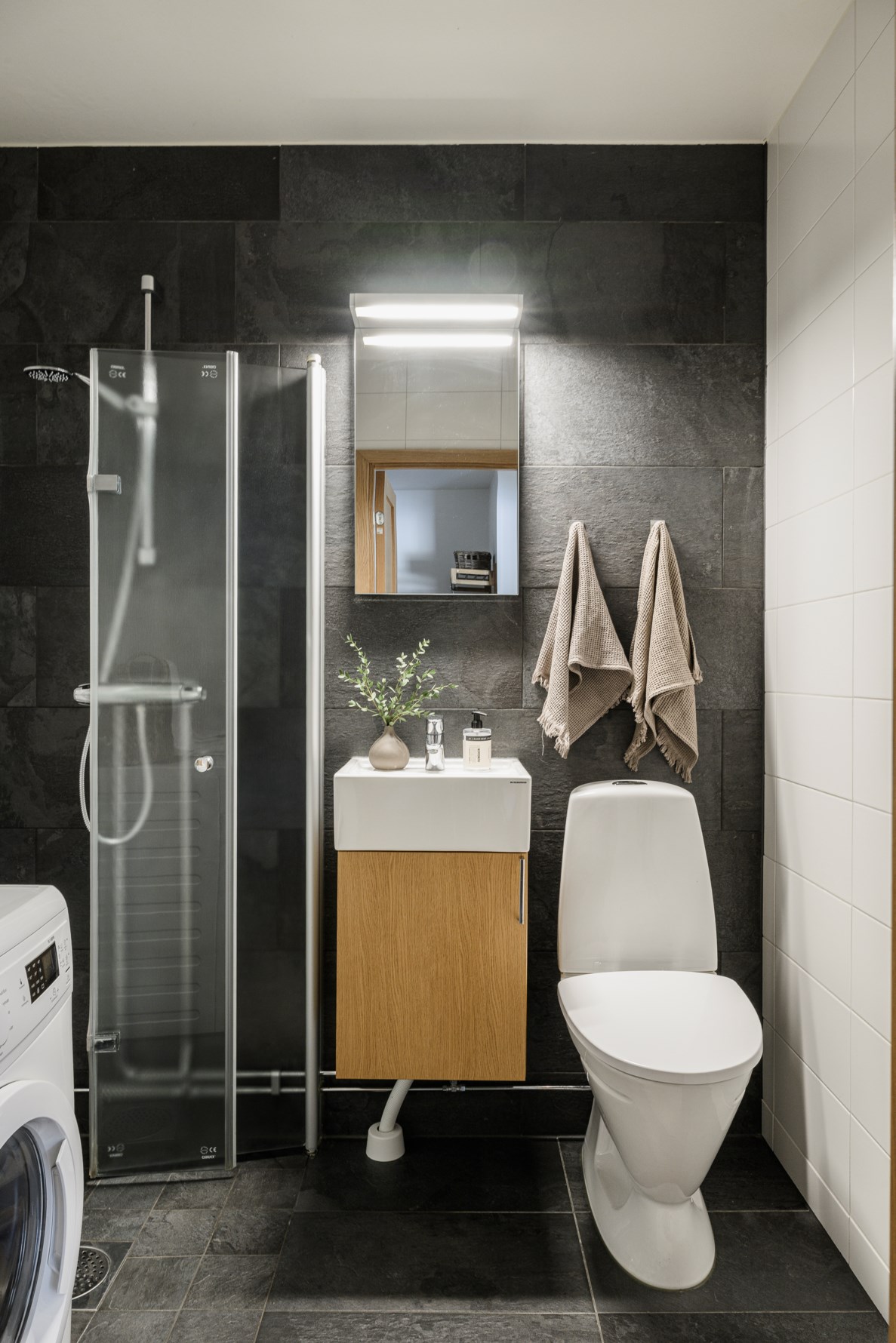 Bild 6 Blandsädesgatan 2D