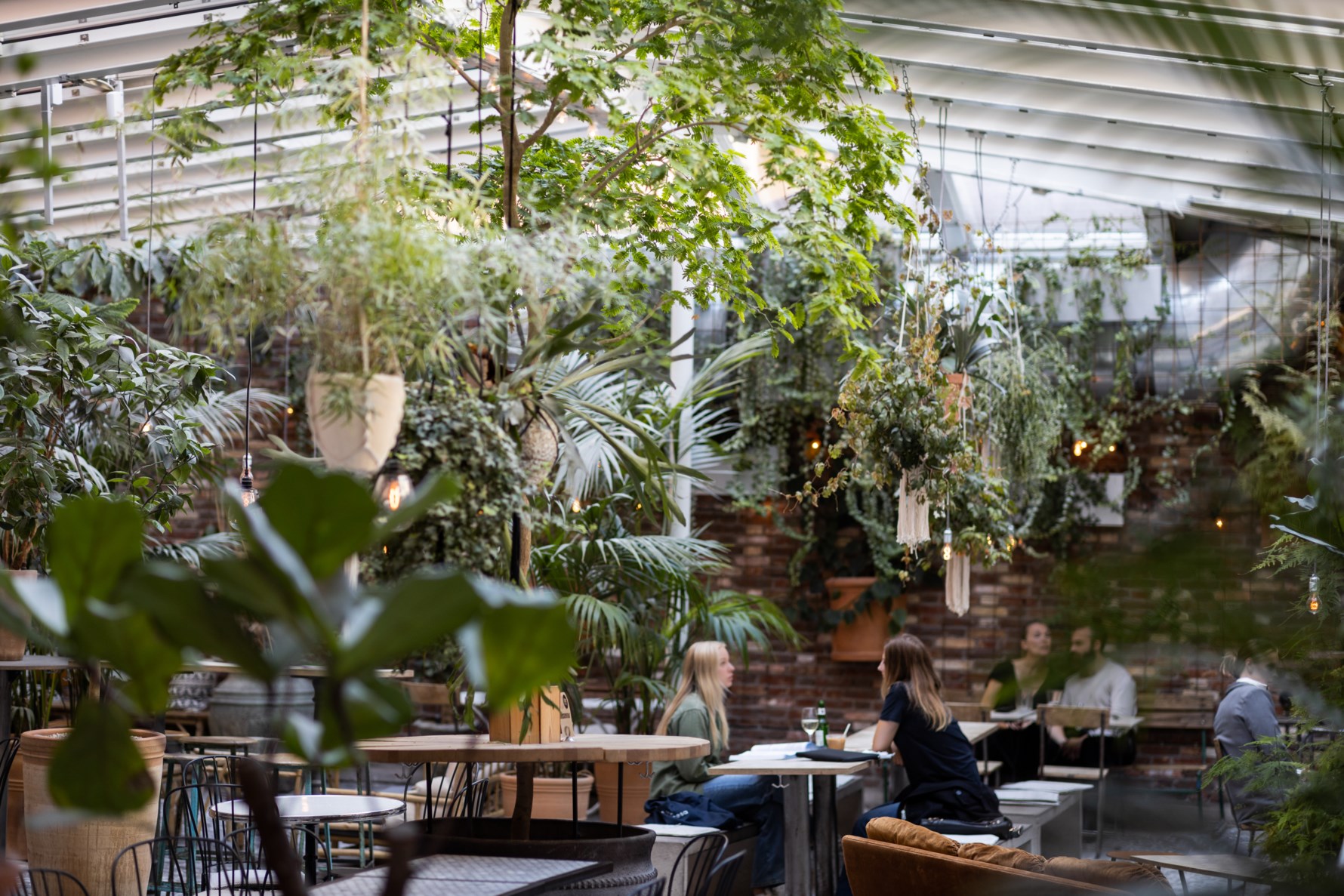 Bild 6 Tredje långgatan 5