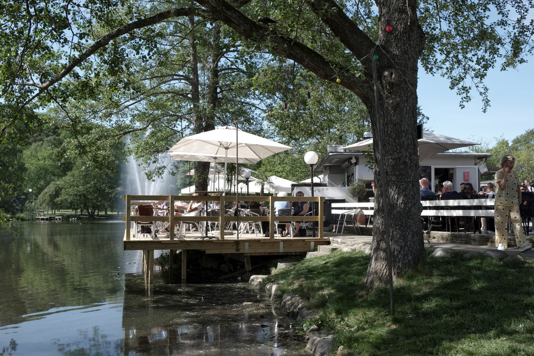 Härliga Slottsskogen på nära håll