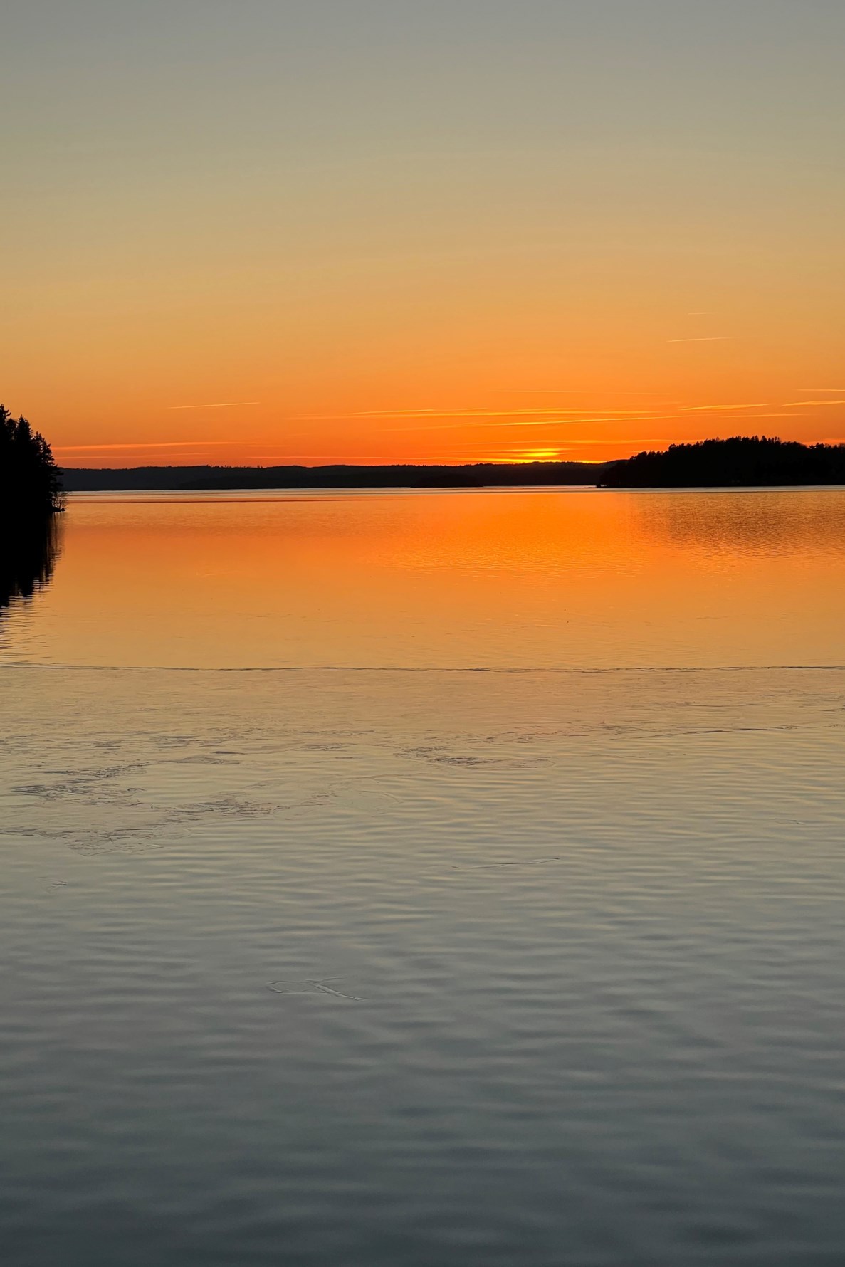 Säljarens egen bild