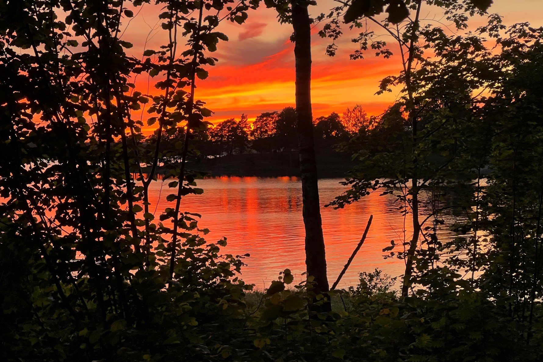 Säljarens egen bild