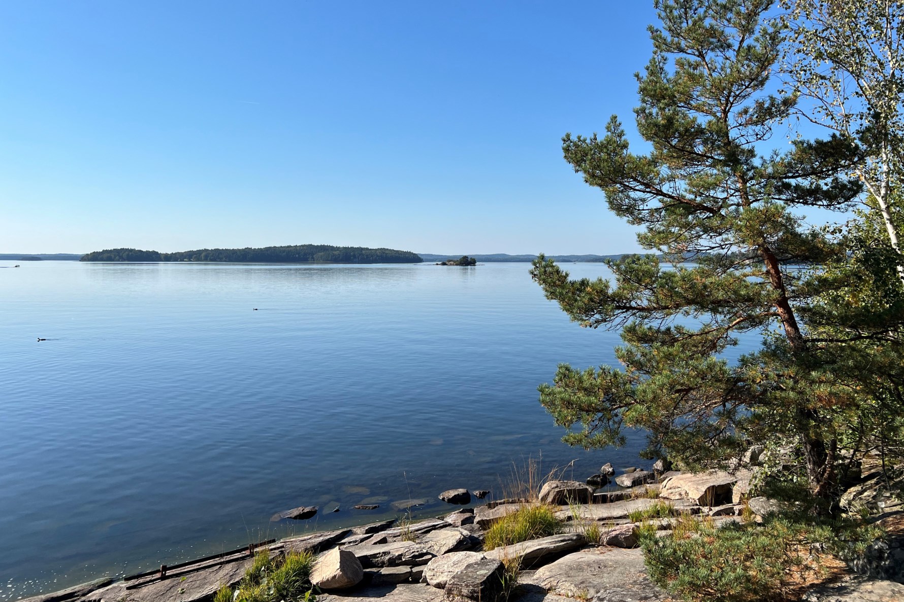 Säljarens egen bild