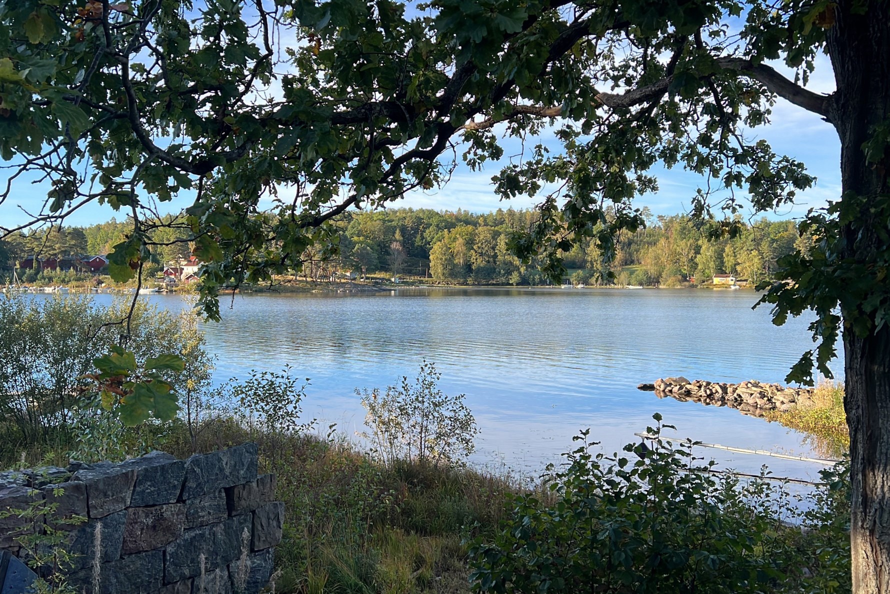 Säljarens egen bild