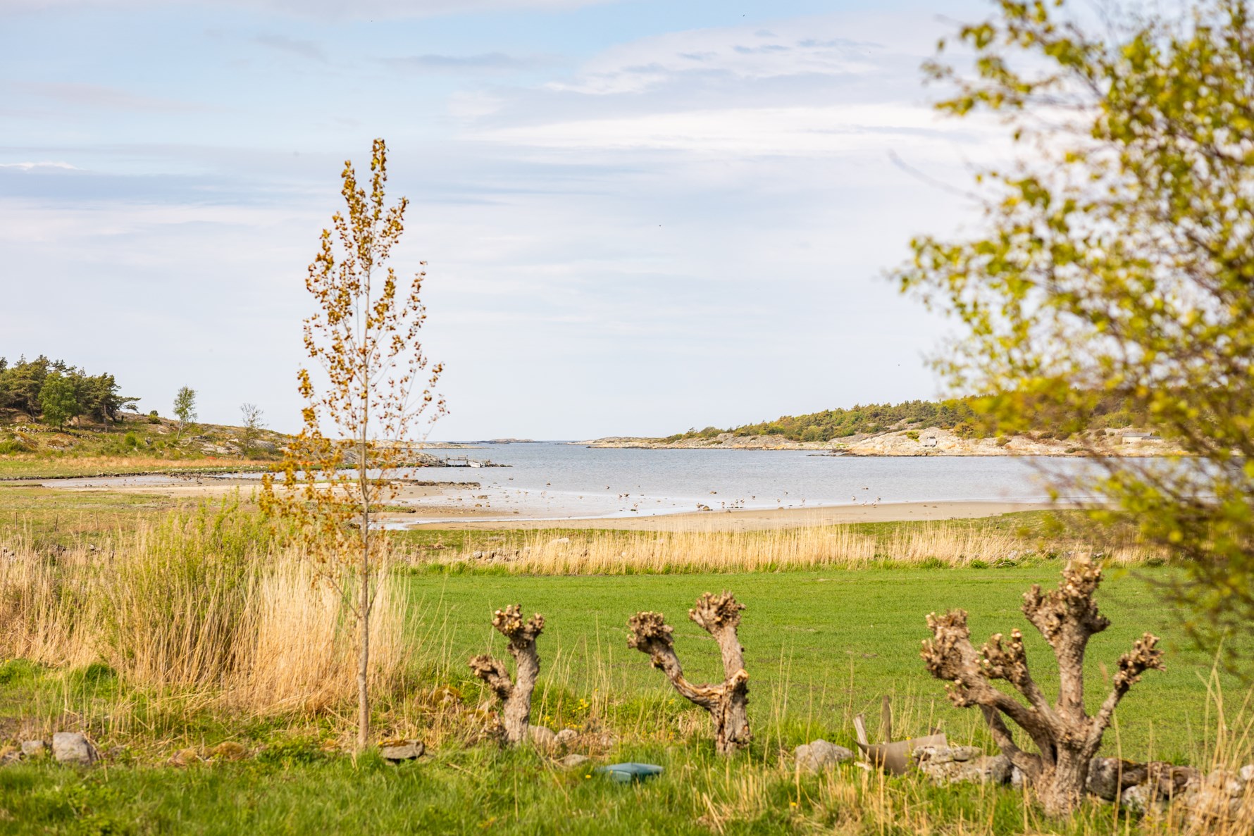 Bild 6 Kärleksstigen 36