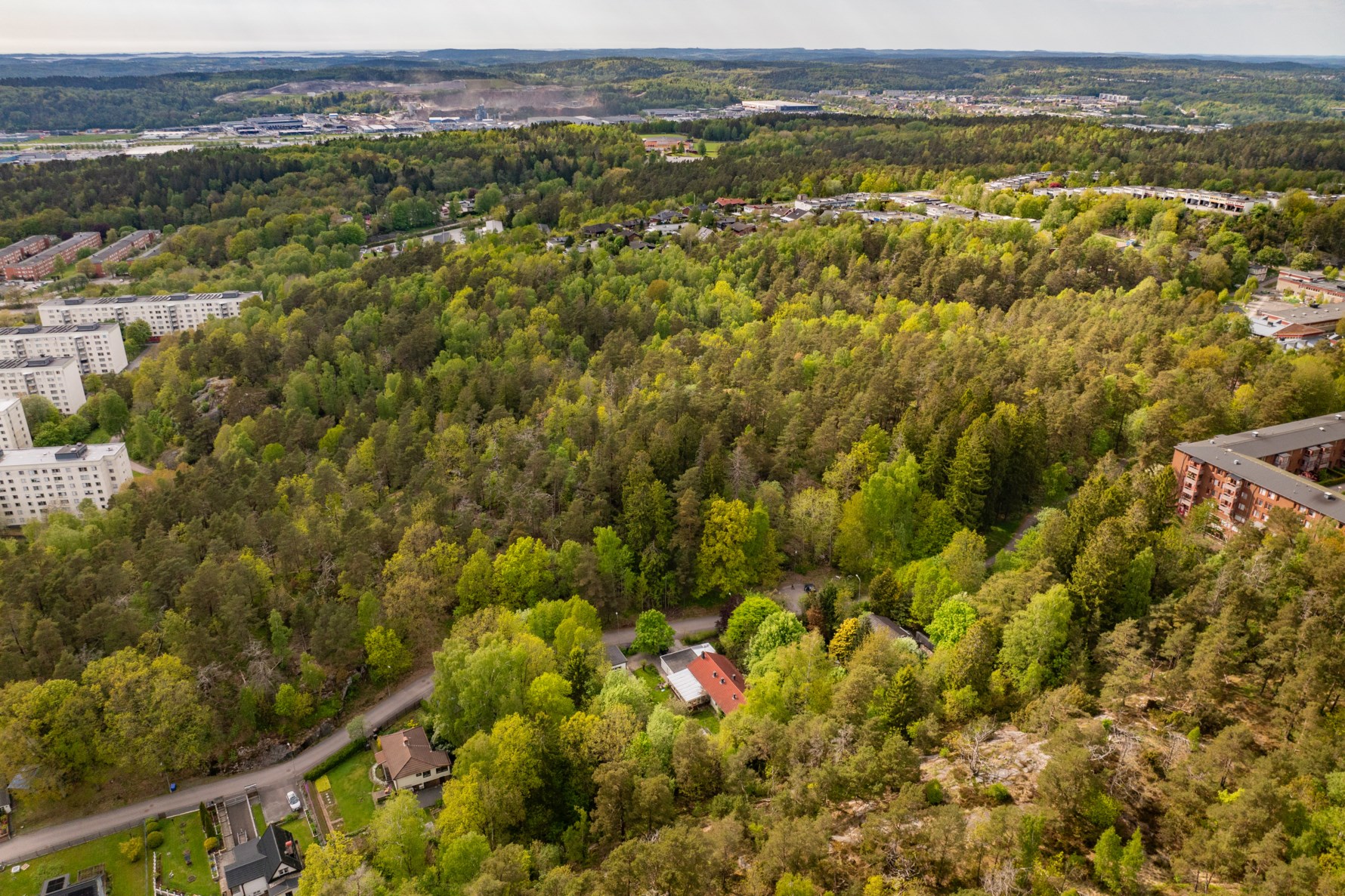 Bild 2 Sagoskogen 11A