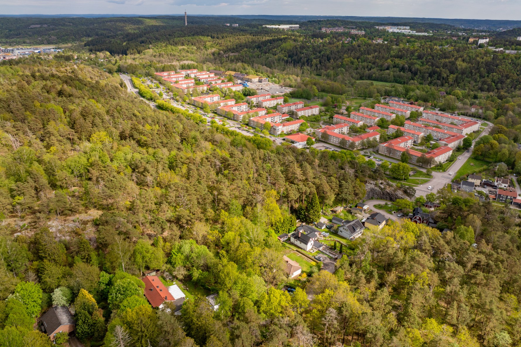 Bild 3 Sagoskogen 11A