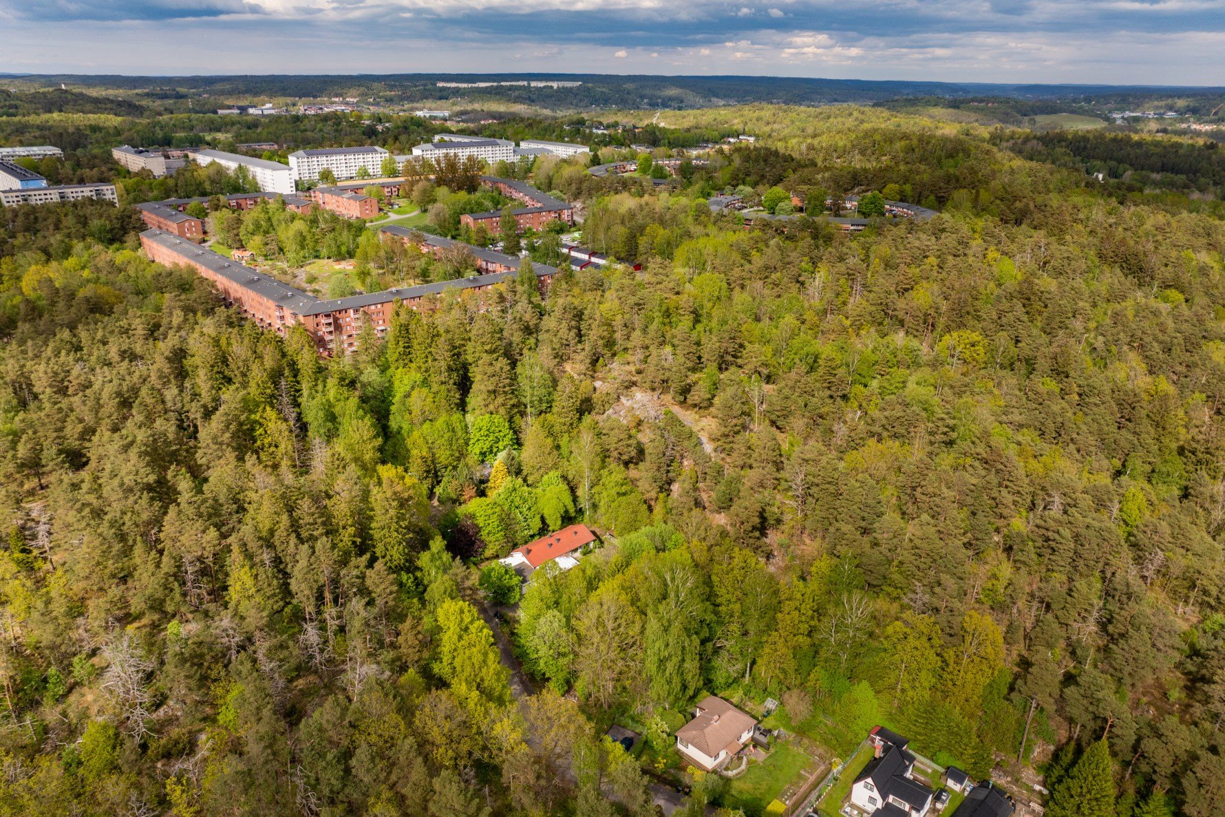 Bild 5 Sagoskogen 11A