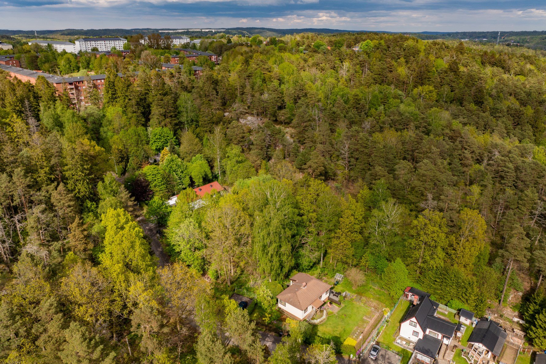 Bild 4 Sagoskogen 11A