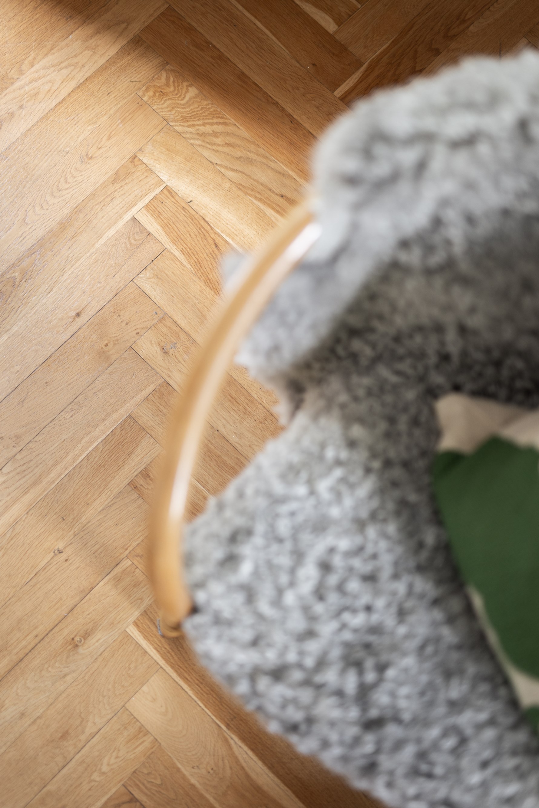Bild 5 Fredriksdalsgatan 5A