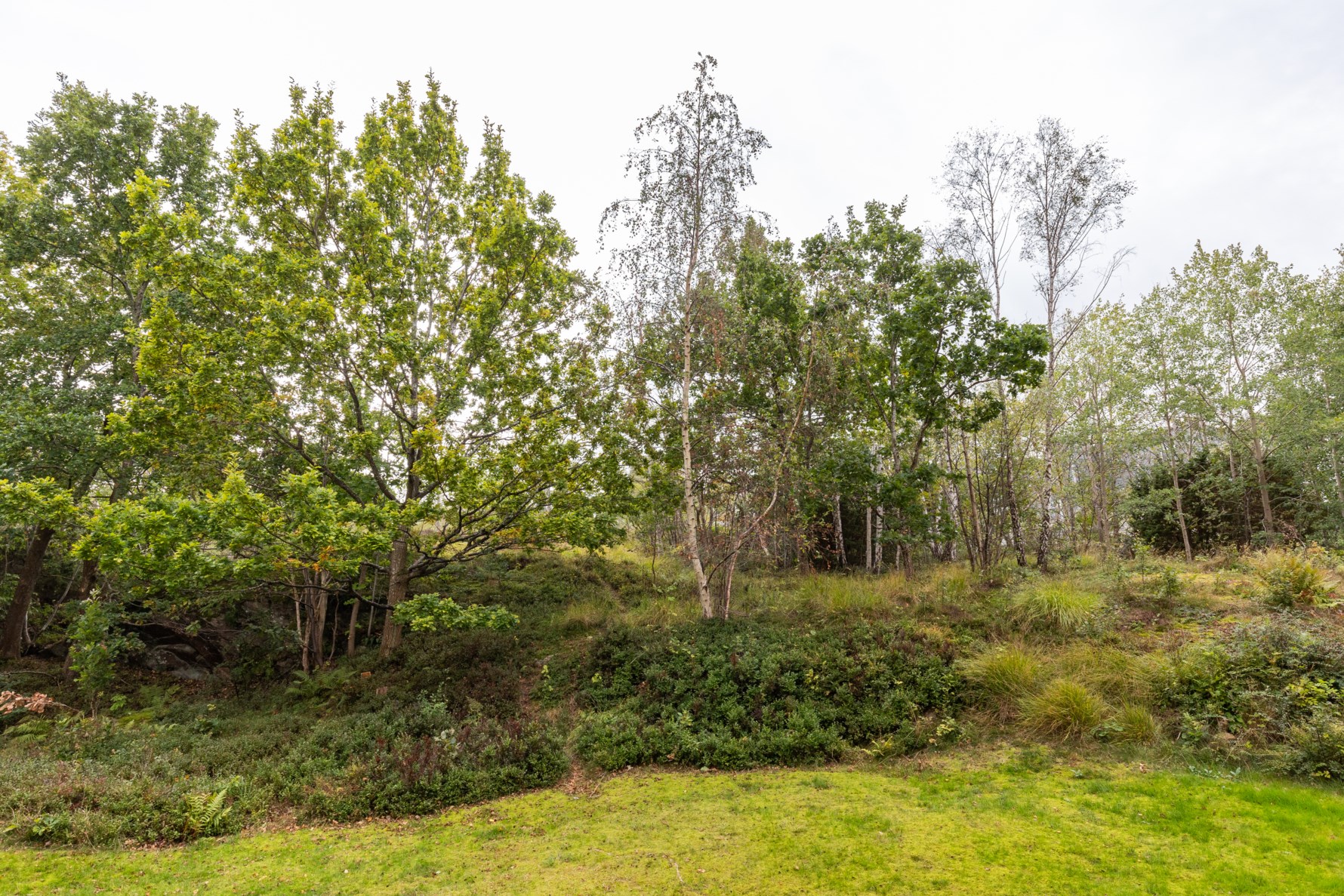 Bild 4 Cosselsgatan 1C