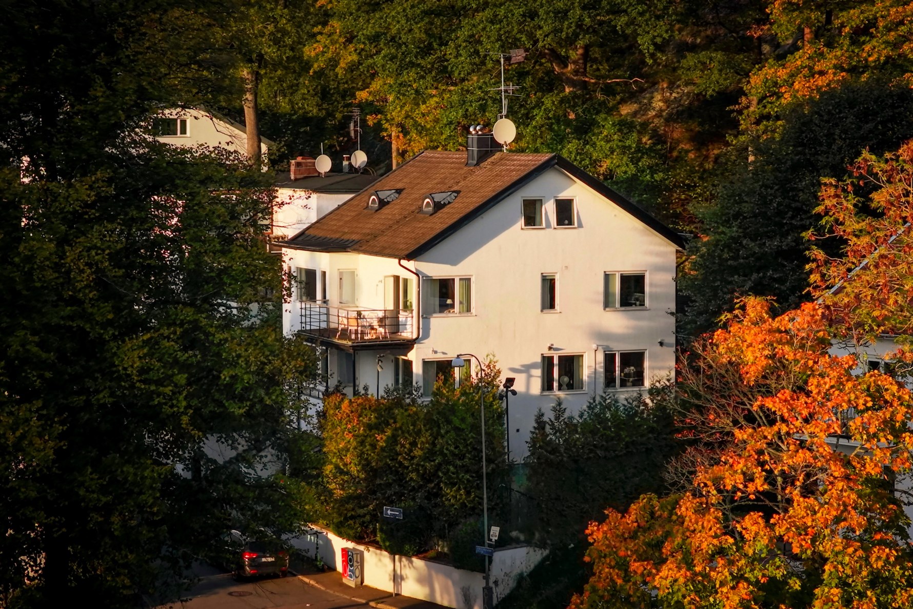 Bild 1 Förtroligheten 18